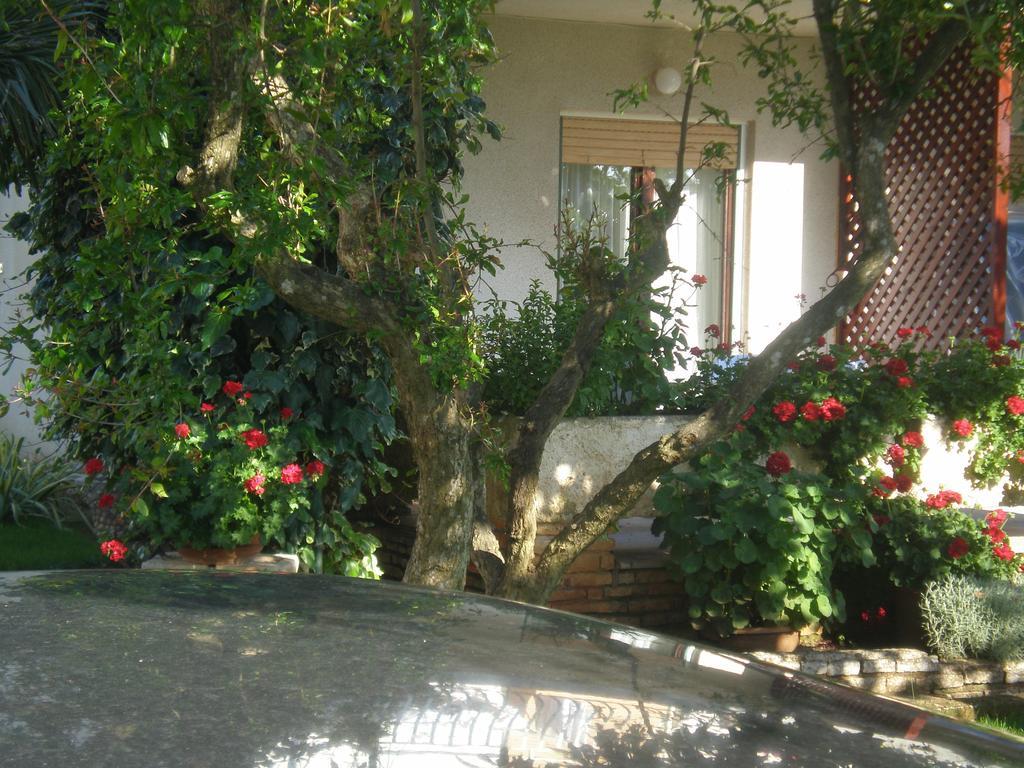 Apartment Ms Pula Exterior photo